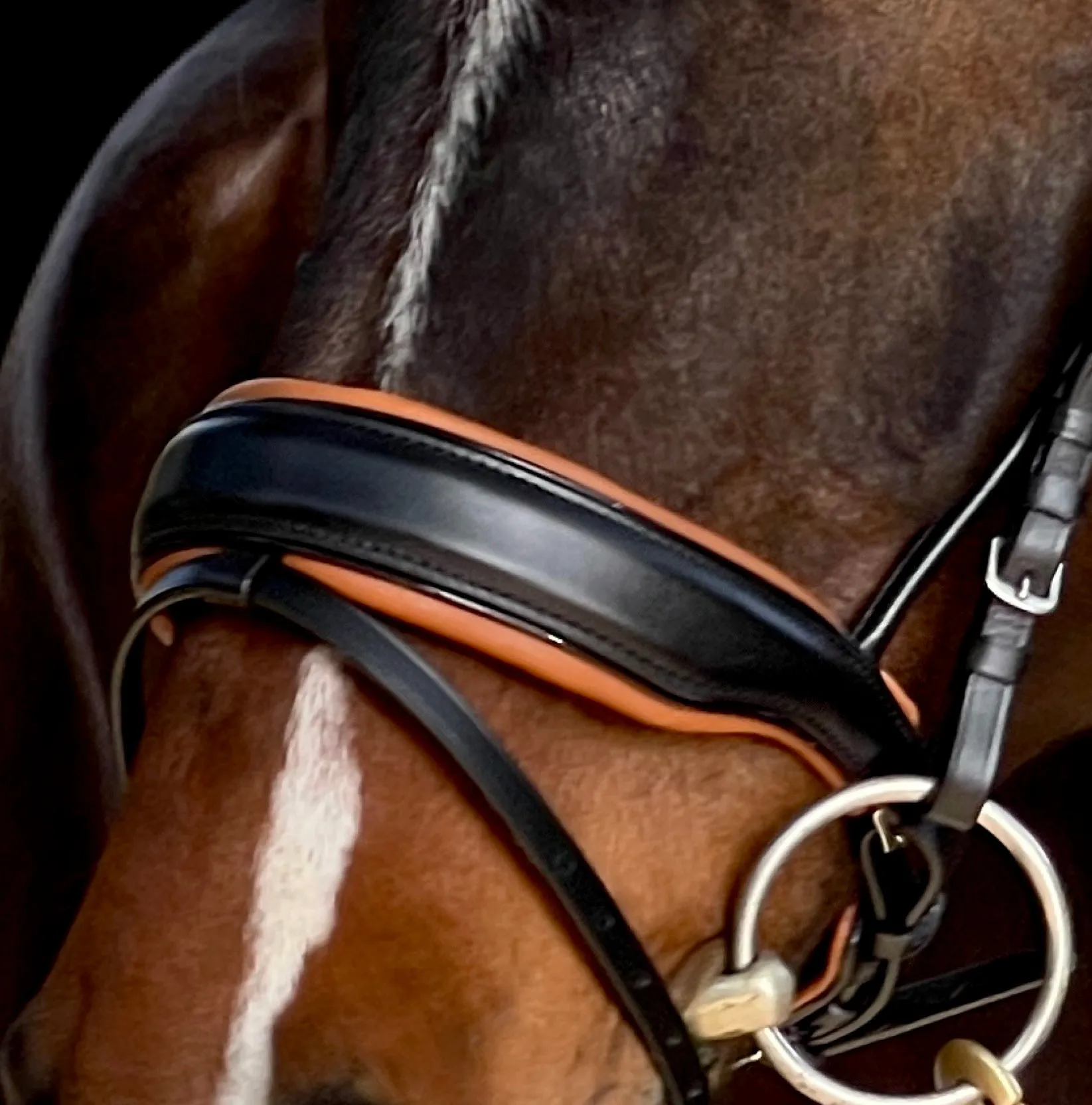The Tuscany Black Leather Rolled Leather Snaffle Bridle with Flash